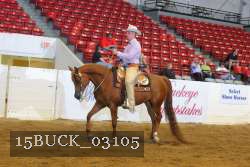 15BUCK_03105 proof