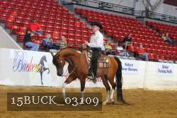 15BUCK_03109 proof