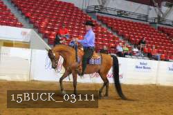 15BUCK_03111 proof