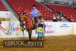 15BUCK_03113 proof