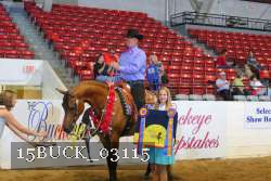 15BUCK_03115 proof