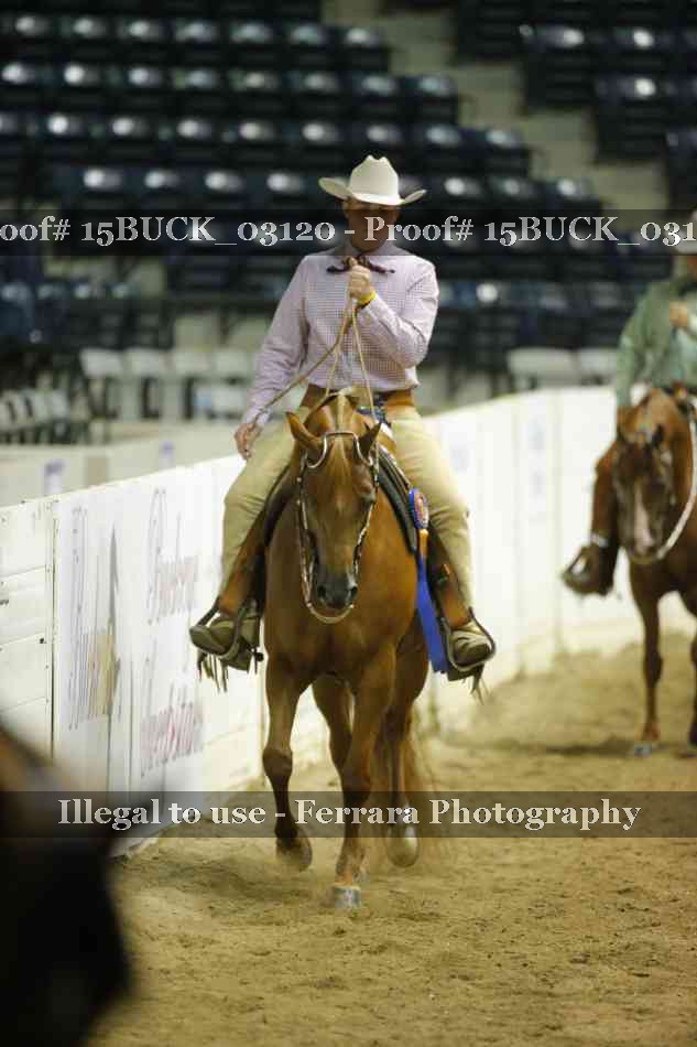 Proof 15BUCK_03120