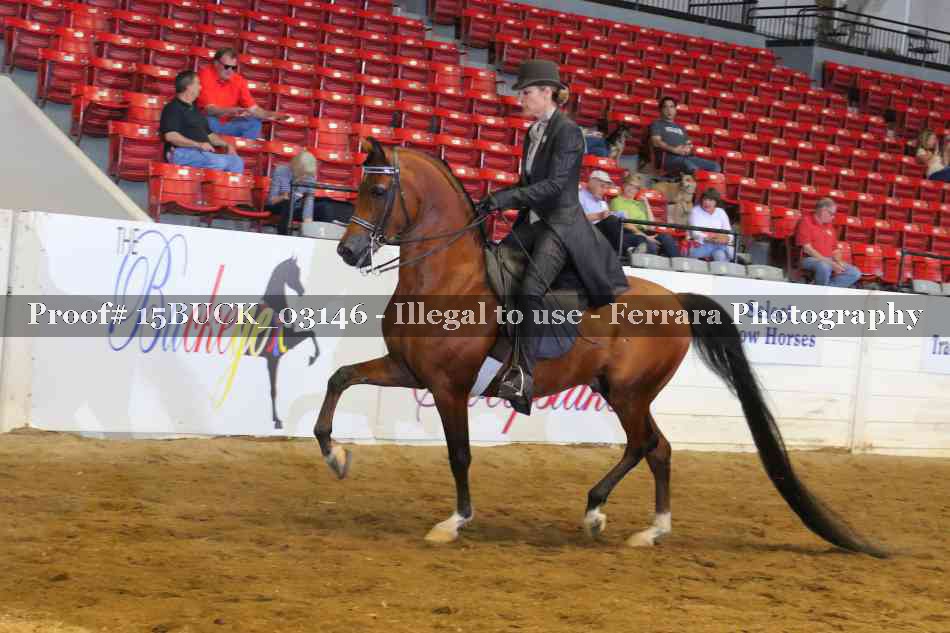 Proof 15BUCK_03146