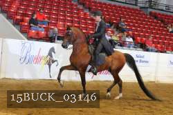 15BUCK_03146 proof