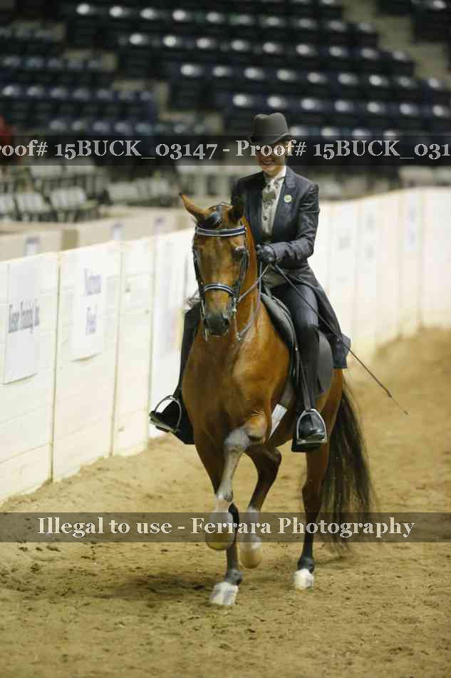 Proof 15BUCK_03147