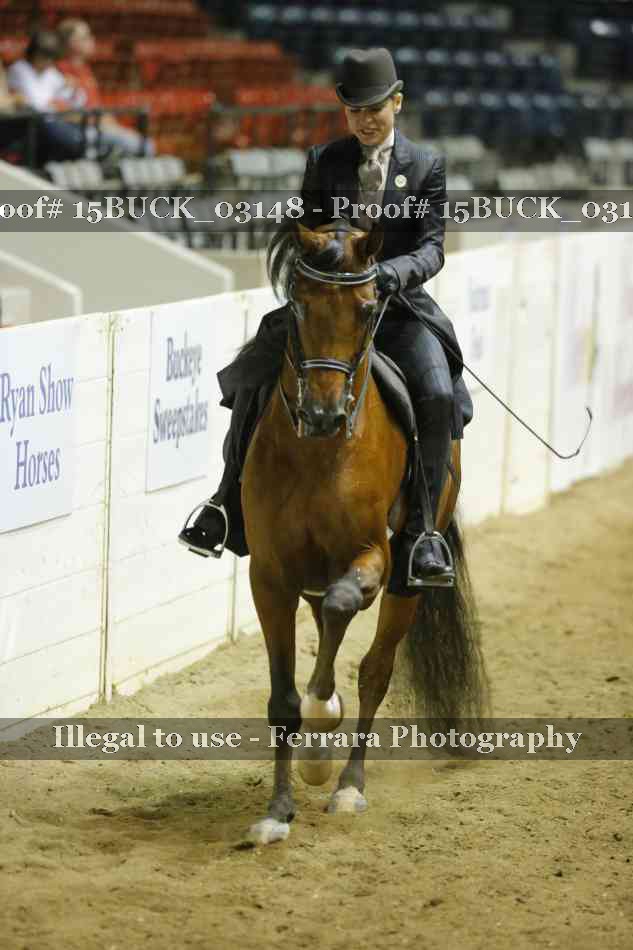 Proof 15BUCK_03148