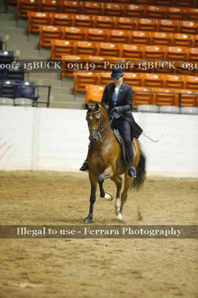 Proof 15BUCK_03149