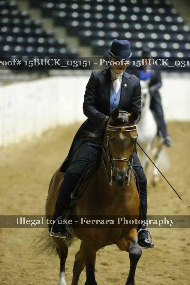 Proof 15BUCK_03151