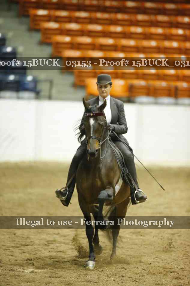 Proof 15BUCK_03153