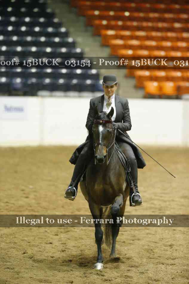 Proof 15BUCK_03154