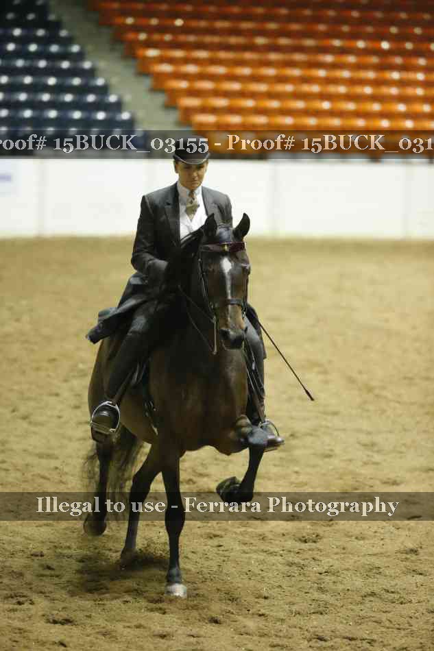 Proof 15BUCK_03155
