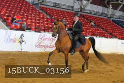 15BUCK_03156 proof
