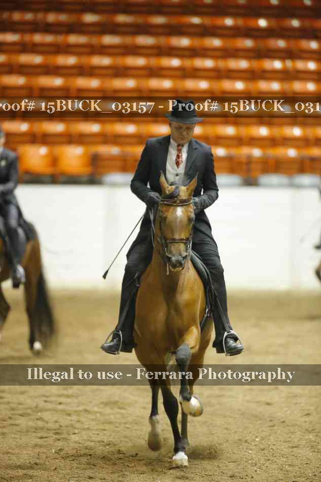Proof 15BUCK_03157