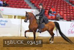 15BUCK_03158 proof