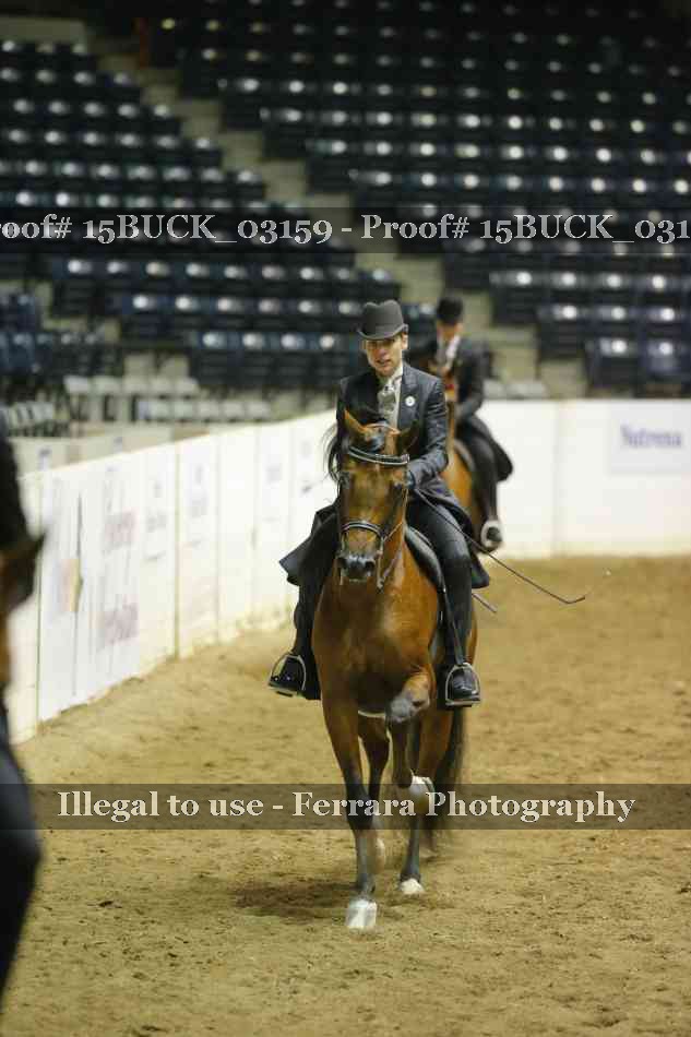 Proof 15BUCK_03159