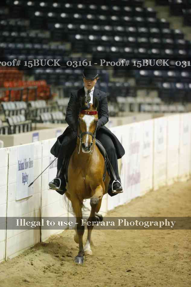Proof 15BUCK_03161