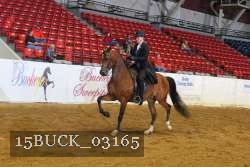 15BUCK_03165 proof