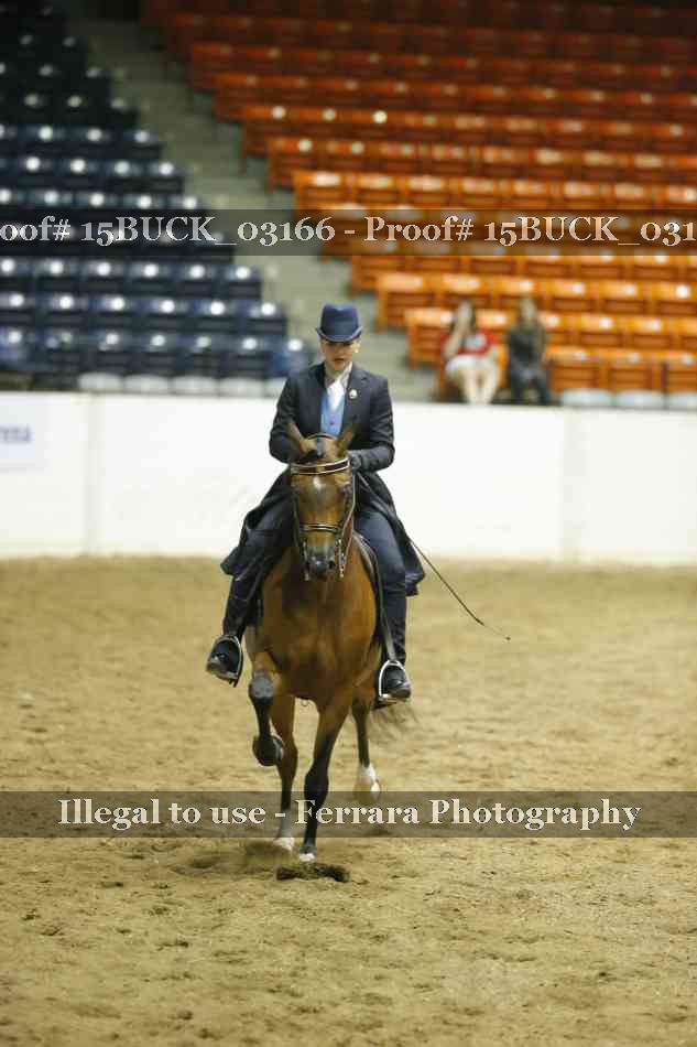 Proof 15BUCK_03166