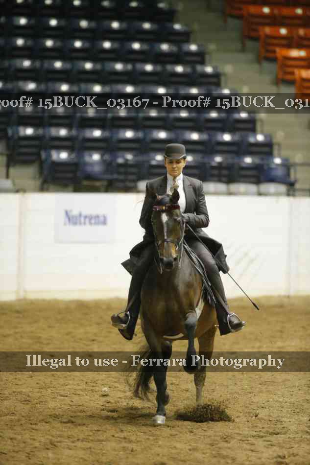Proof 15BUCK_03167