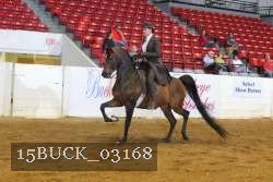 15BUCK_03168 proof