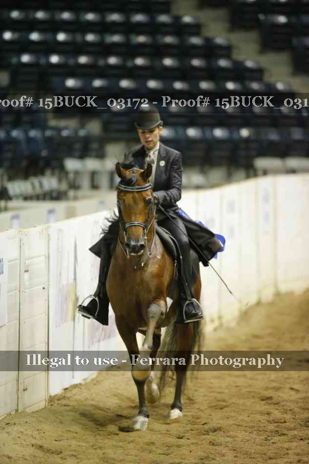 Proof 15BUCK_03172