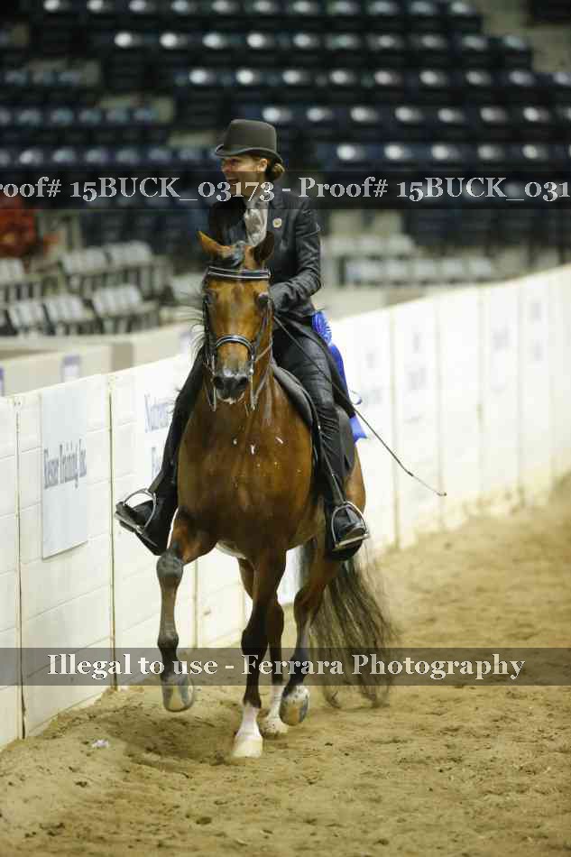 Proof 15BUCK_03173