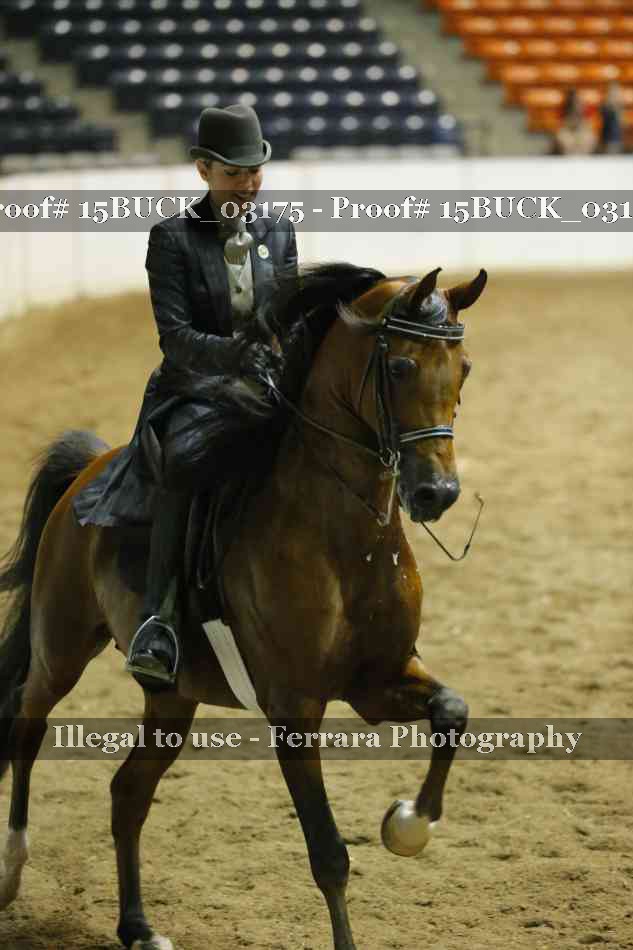 Proof 15BUCK_03175