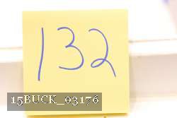 15BUCK_03176 proof