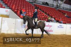 15BUCK_03177 proof