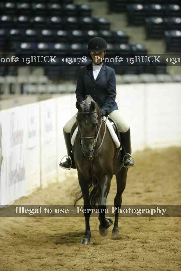 Proof 15BUCK_03178