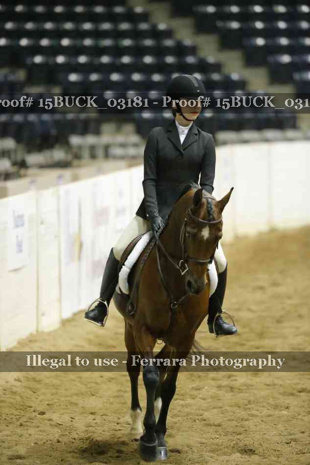 Proof 15BUCK_03181