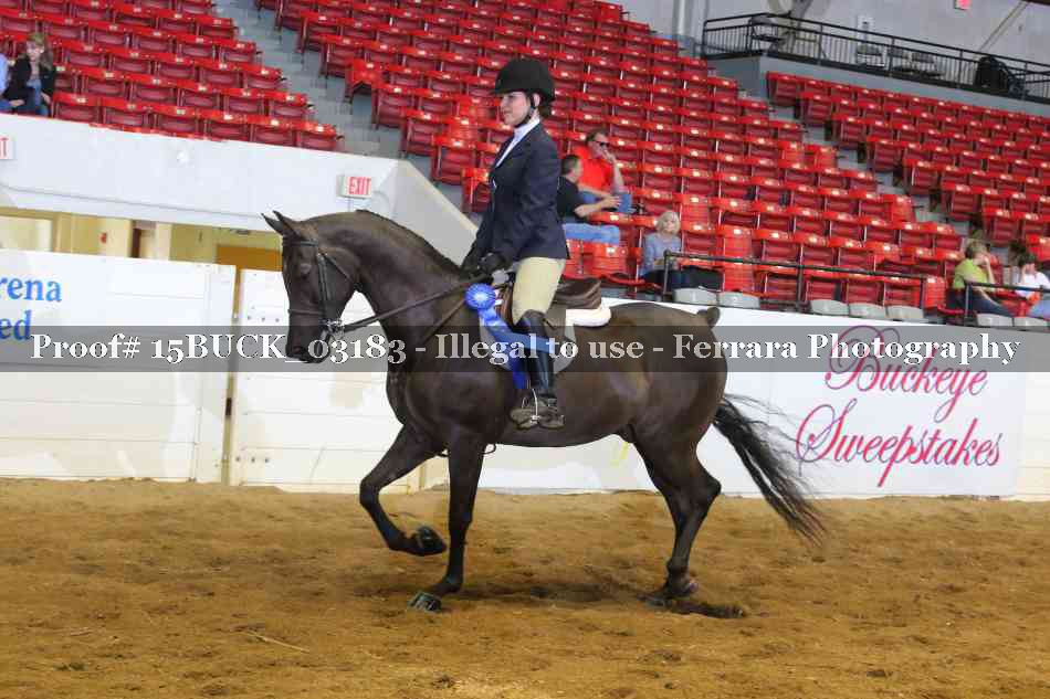 Proof 15BUCK_03183