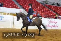 15BUCK_03183 proof
