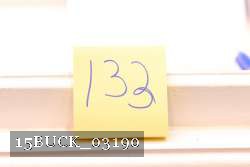 15BUCK_03190 proof