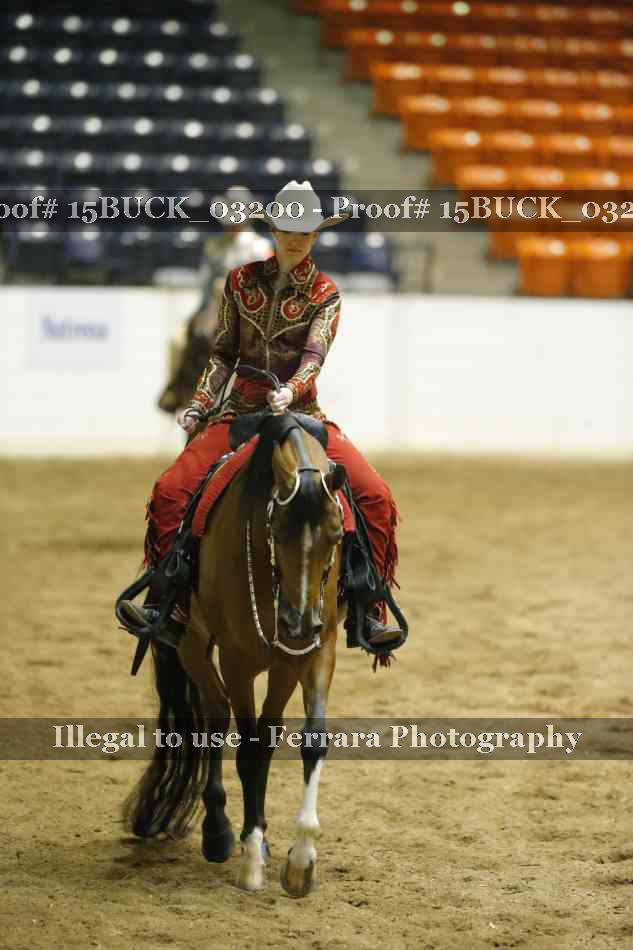 Proof 15BUCK_03200
