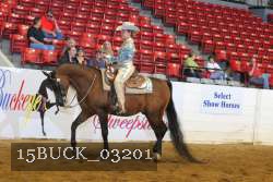 15BUCK_03201 proof
