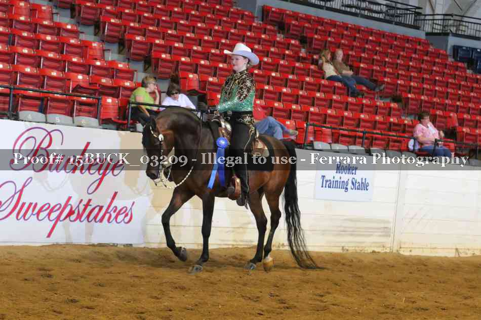 Proof 15BUCK_03209