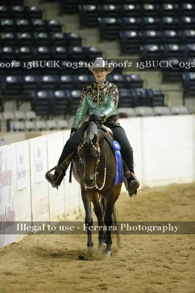 Proof 15BUCK_03210