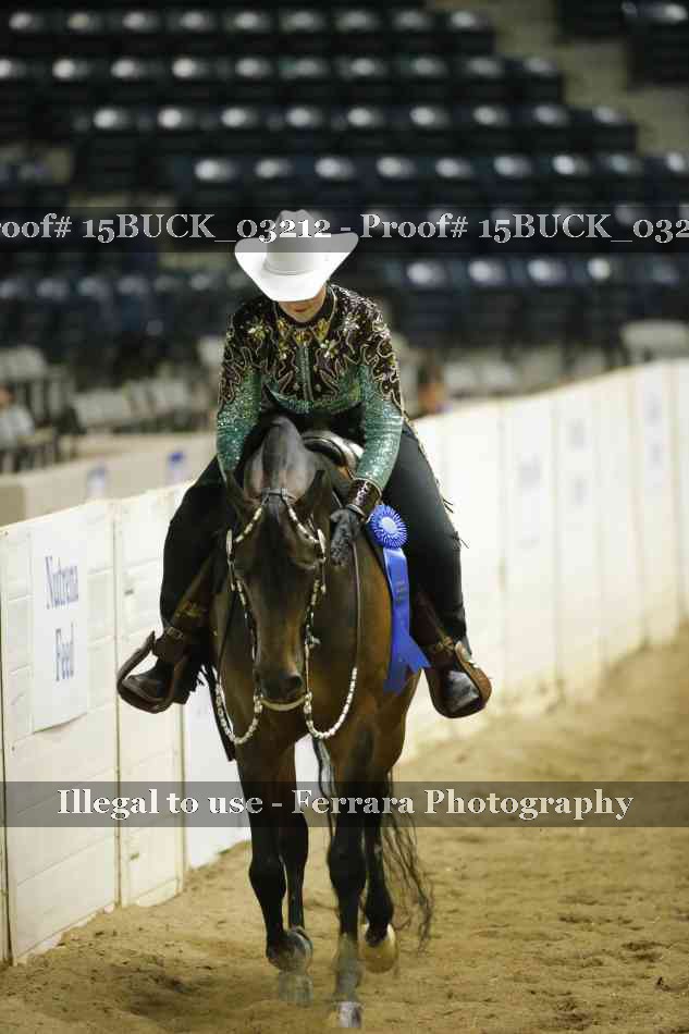 Proof 15BUCK_03212