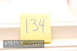 15BUCK_03218 proof