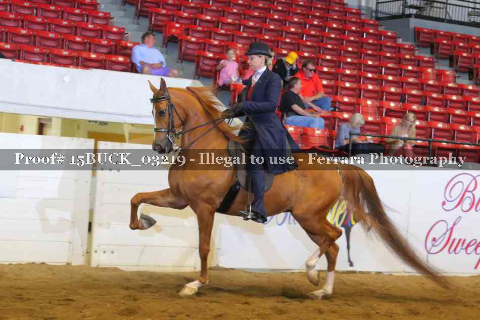 Proof 15BUCK_03219