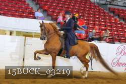 15BUCK_03219 proof