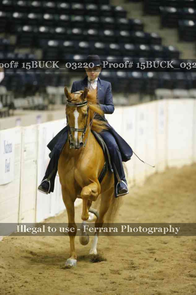 Proof 15BUCK_03220
