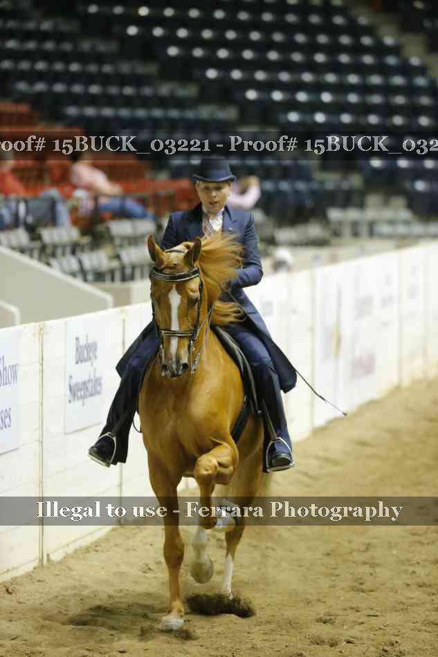 Proof 15BUCK_03221