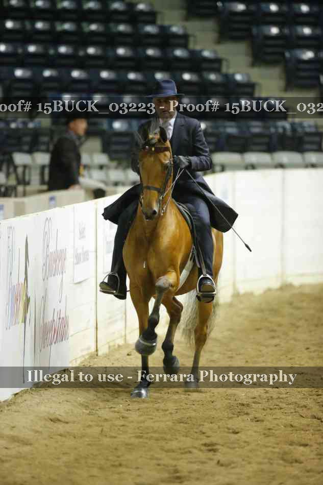 Proof 15BUCK_03223
