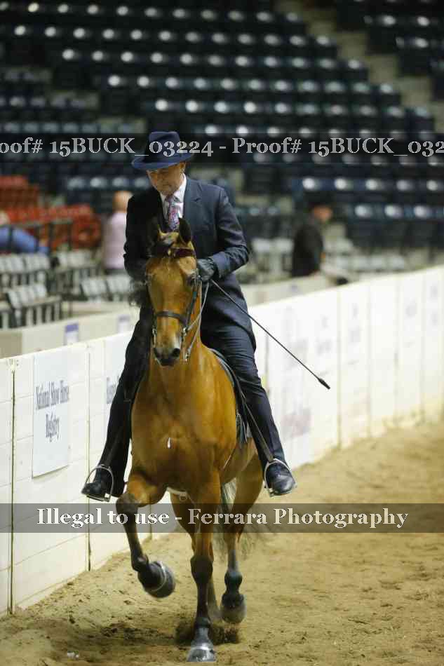 Proof 15BUCK_03224