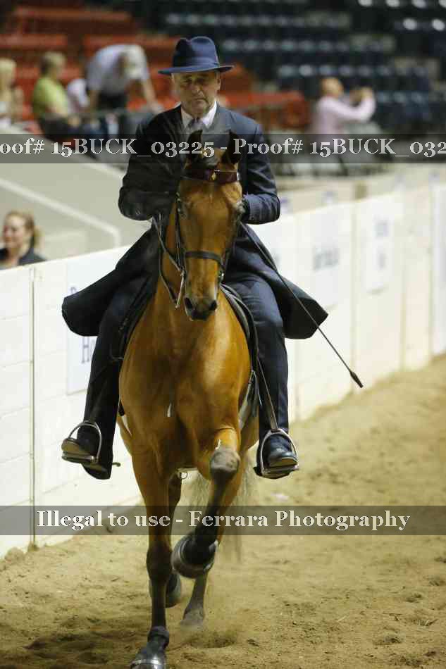 Proof 15BUCK_03225