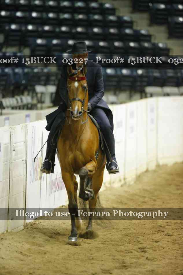 Proof 15BUCK_03227