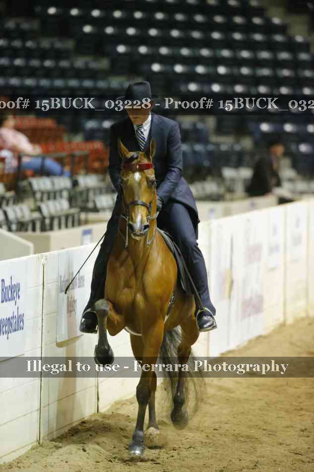 Proof 15BUCK_03228