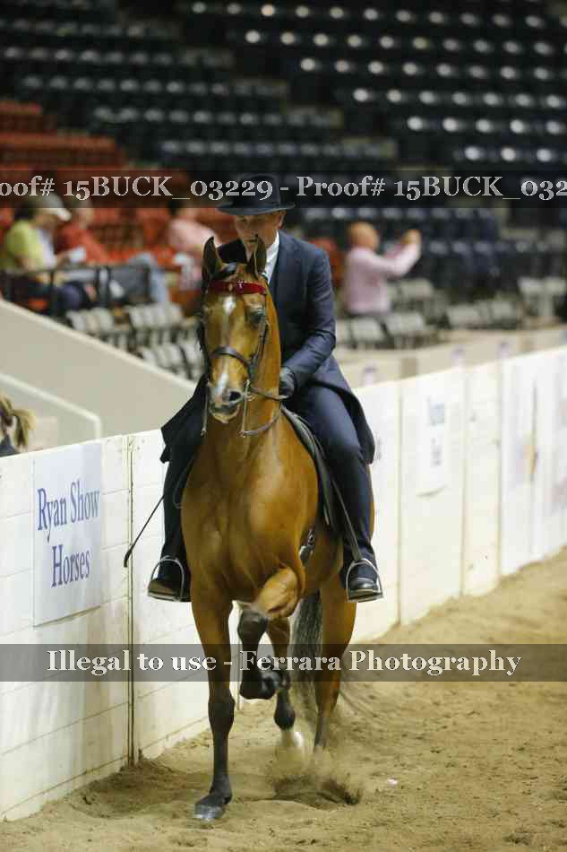 Proof 15BUCK_03229